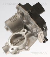 TRISCAN 8813 42003 - Válvula EGR