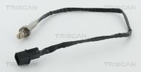 TRISCAN 8845 42004 - Sonda Lambda