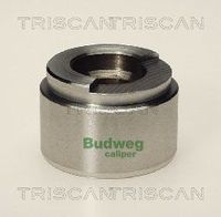TRISCAN 8170234201 - Émbolo, pinza del freno
