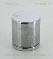 TRISCAN 8170234613 - Émbolo, pinza del freno