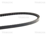 TRISCAN 8640100875 - Correa trapezoidal