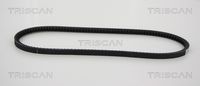 TRISCAN 8640130950 - Correa trapezoidal