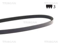 TRISCAN 8640300738 - Correa trapecial poli V