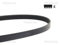 TRISCAN 8640400955 - Correa trapecial poli V