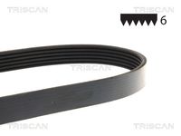 TRISCAN 8640600995 - Correa trapecial poli V