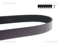 TRISCAN 8640702710XS - Correa trapecial poli V