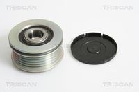 Schaeffler INA 535021810 - Rueda libre alternador