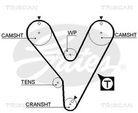 TRISCAN 8645 5228XS - Correa dentada