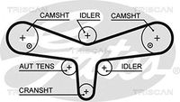 TRISCAN 86455624XS - Correa dentada
