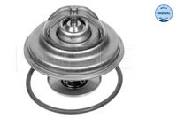 MEAT & DORIA 92173 - Termostato, refrigerante