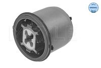 GSP 530862 - Suspensión, cuerpo del eje