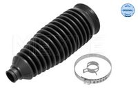 DELPHI TBR1000 - Juego de fuelles, dirección