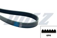 DAYCO 6PK1550S - Correa trapecial poli V