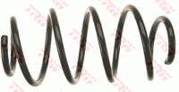 TRW JCS1339 - Muelle de suspensión