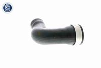 VAICO V10-3768 - Tubo flexible de aire de sobrealimentación