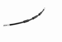 VAICO V10-4215 - Tubo flexible de frenos