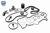 VAICO V25-3224 - Juego de correas dentadas