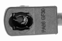 VAICO V10-2159 - Muelle neumático, capó de motor