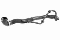 VAICO V104324 - Tubería de radiador - Original calidad de VAICO