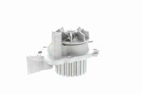 VAICO V22-50004 - Bomba de agua, refrigeración del motor