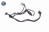 VAICO V22-0664 - Tubería de combustible