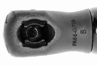 VAICO V101947 - Muelle neumático, capó de motor - Original calidad de VAICO