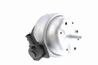 VAICO V10-1278 - Suspensión, transmisión automática