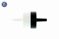 VAICO V10-3562 - Válvula de retención