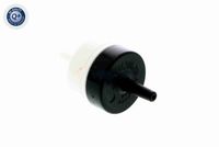 VAICO V10-3562 - Válvula de retención