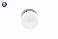 VAICO V10-3562 - Válvula de retención