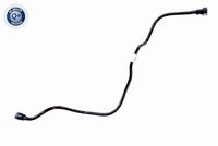 VAICO V420955 - Tubería de combustible - Q+, calidad de primer equipo