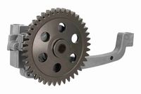 SWAG 33108100 - Bomba de aceite