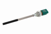 RECOFICIAL RECCSN2229 - Sensor, nivel de aceite del motor