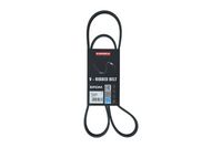 KAMOKA 7016095 - Correa trapecial poli V