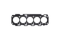 GLASER H2189720 - Junta, culata