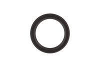 KAMOKA 7001653 - Juego de cadena de distribución