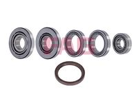 Schaeffler FAG 463 0125 10 - Kit reparación, diferencial