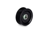 Schaeffler INA 532 0160 10 - Polea inversión/guía, correa poli V