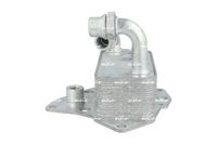 NRF 31343 - Radiador de aceite, aceite motor - EASY FIT