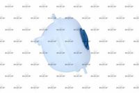 NRF 454067 - Depósito compensación, refrigerante