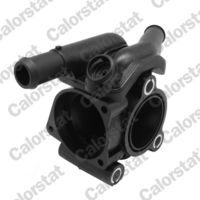 Alfa e-Parts AF10650 - Caja del termostato