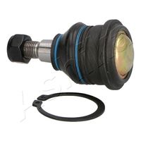 ASHIKA 73-05-524 - Rótula de suspensión/carga