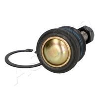 ASHIKA 73-05-524 - Rótula de suspensión/carga