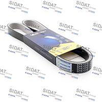 LUCAS 6PK1310L - Correa trapecial poli V