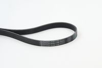 CONTINENTAL CTAM 6PK1100 - Correa trapecial poli V
