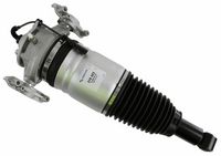 Montcada 0296970 - Amortiguador telescópico neumático