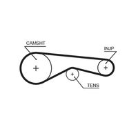 GATES 5625XS - Correa dentada - PowerGrip™