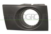 PRASCO HN8021247 - Tapa, gancho de arrastre