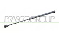 NTY AE-RE-028 - Muelle neumático, maletero/compartimento de carga