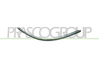 PRASCO VG0531247 - Listón embellecedor/protector, parachoques